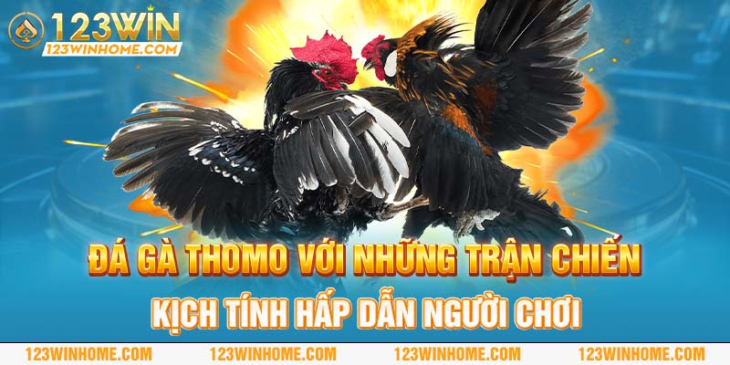 da ga thomo voi nhung tran chien kich tinh hap dan