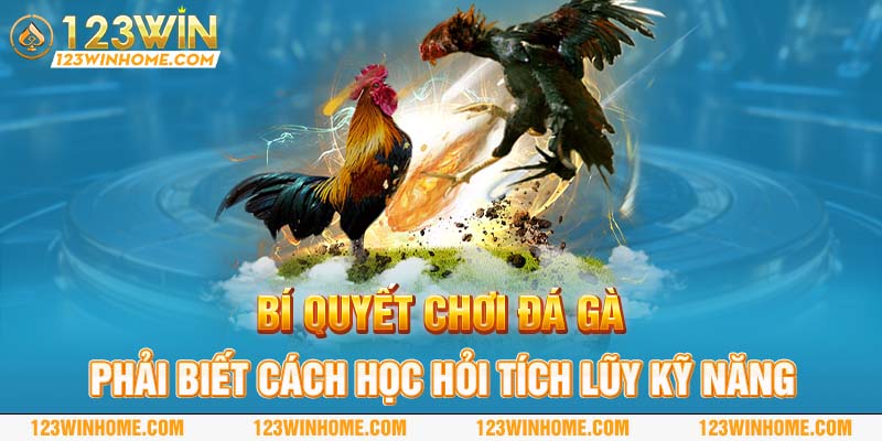 bi quyet choi da ga phai biet cach hoc hoi tich luy ky nang