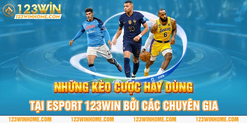 nhung keo cuoc hay dung tai esport 123win