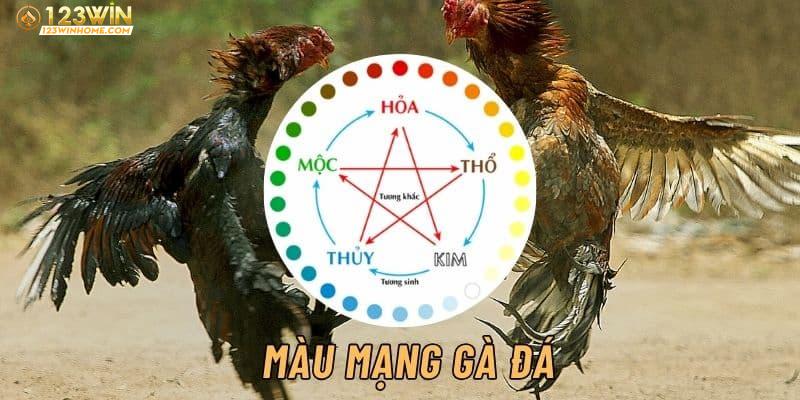 Tầm quan trọng của việc xem màu mạng gà đá